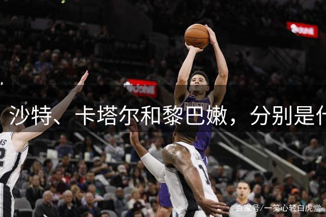 沙特、卡塔尔和黎巴嫩，分别是什么水平？
